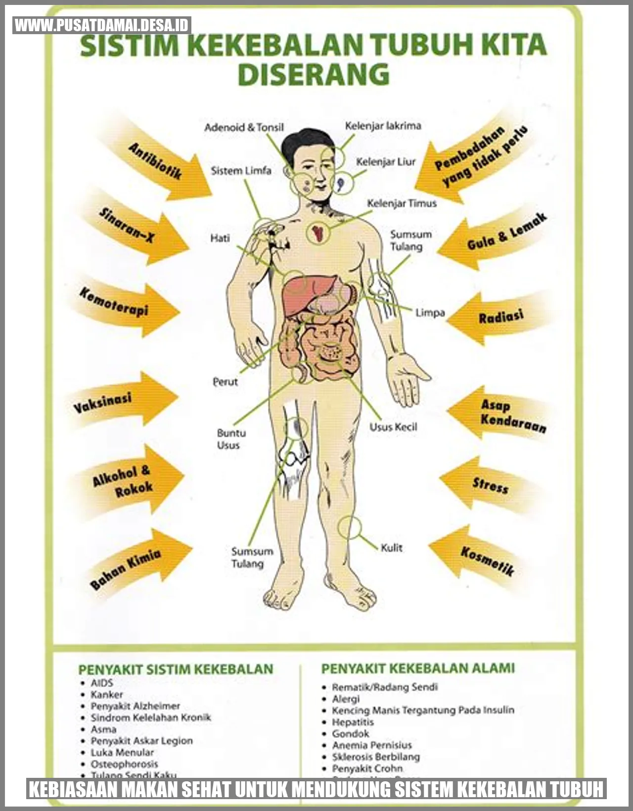 Kebiasaan Makan Sehat untuk Mendukung Sistem Kekebalan Tubuh