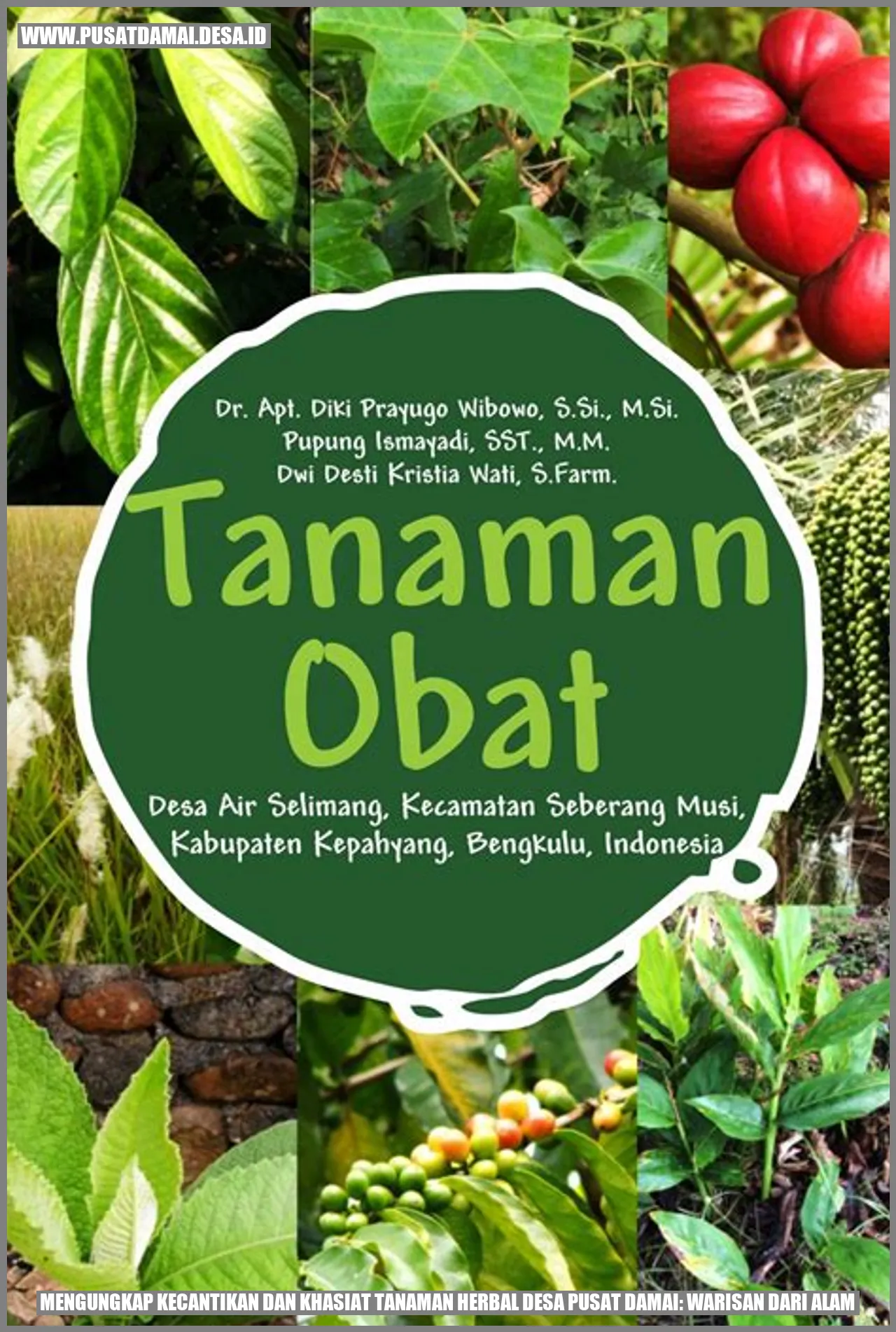 Mengungkap Kecantikan dan Khasiat Tanaman Herbal Desa Pusat Damai: Warisan dari Alam