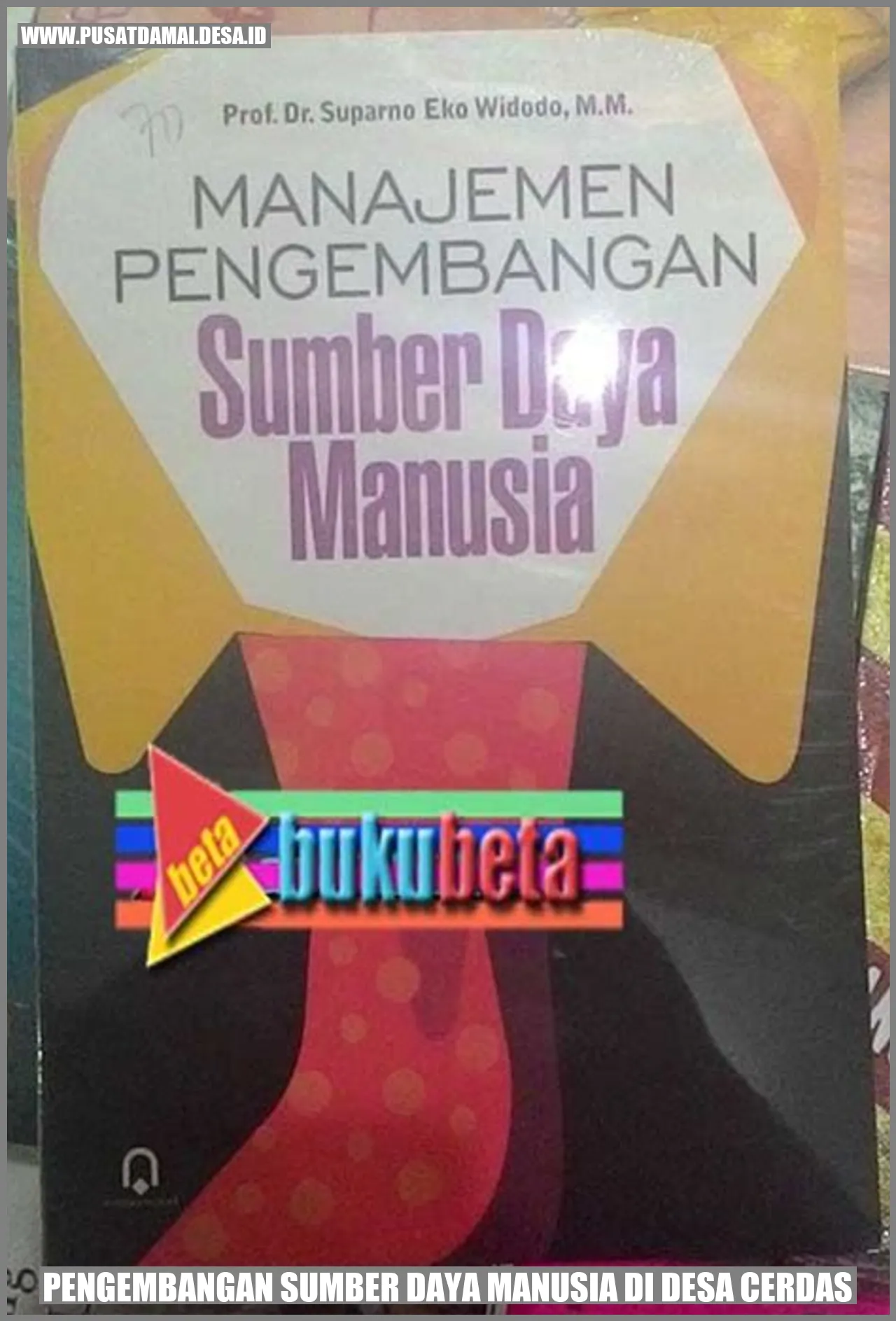 Pengembangan Sumber Daya Manusia di Desa Cerdas