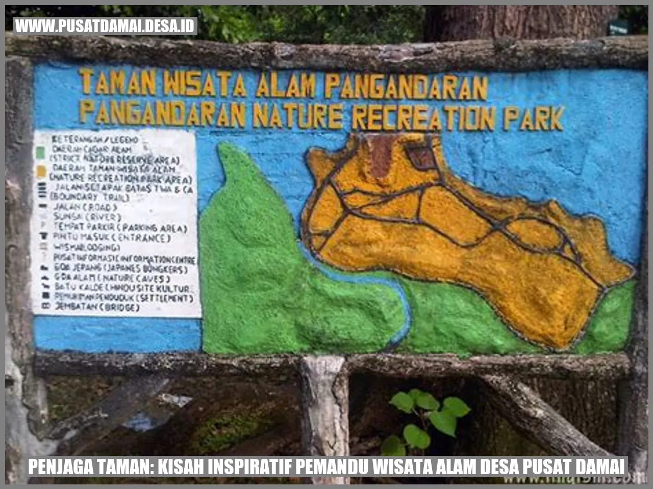 Penjaga Taman: Kisah Inspiratif Pemandu Wisata Alam Desa Pusat Damai