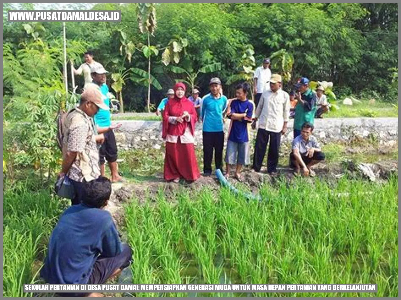 Sekolah Pertanian di Desa Pusat Damai: Mempersiapkan Generasi Muda untuk Masa Depan Pertanian yang Berkelanjutan